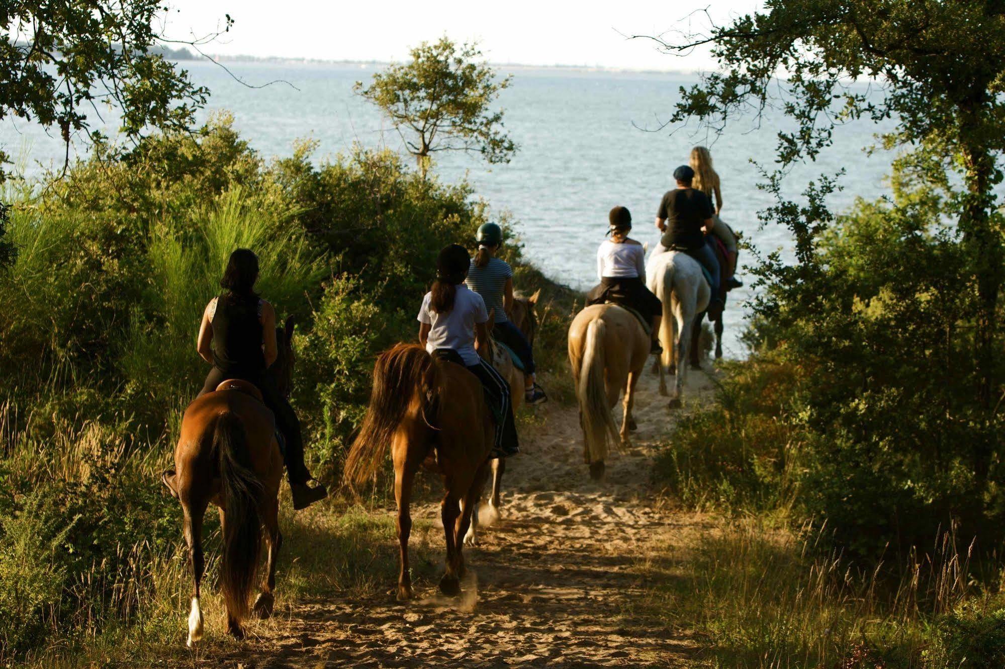 Camping Officiel Siblu La Pignade Ronce-les-Bains Bagian luar foto