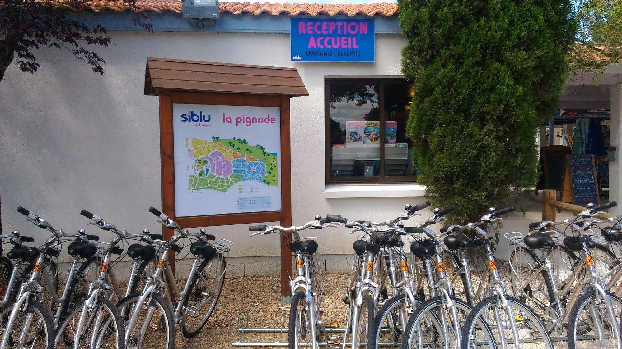 Camping Officiel Siblu La Pignade Ronce-les-Bains Bagian luar foto